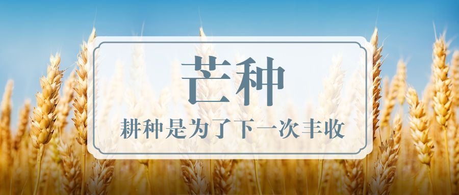 芒種時節 | 耕種是為了下一次豐收